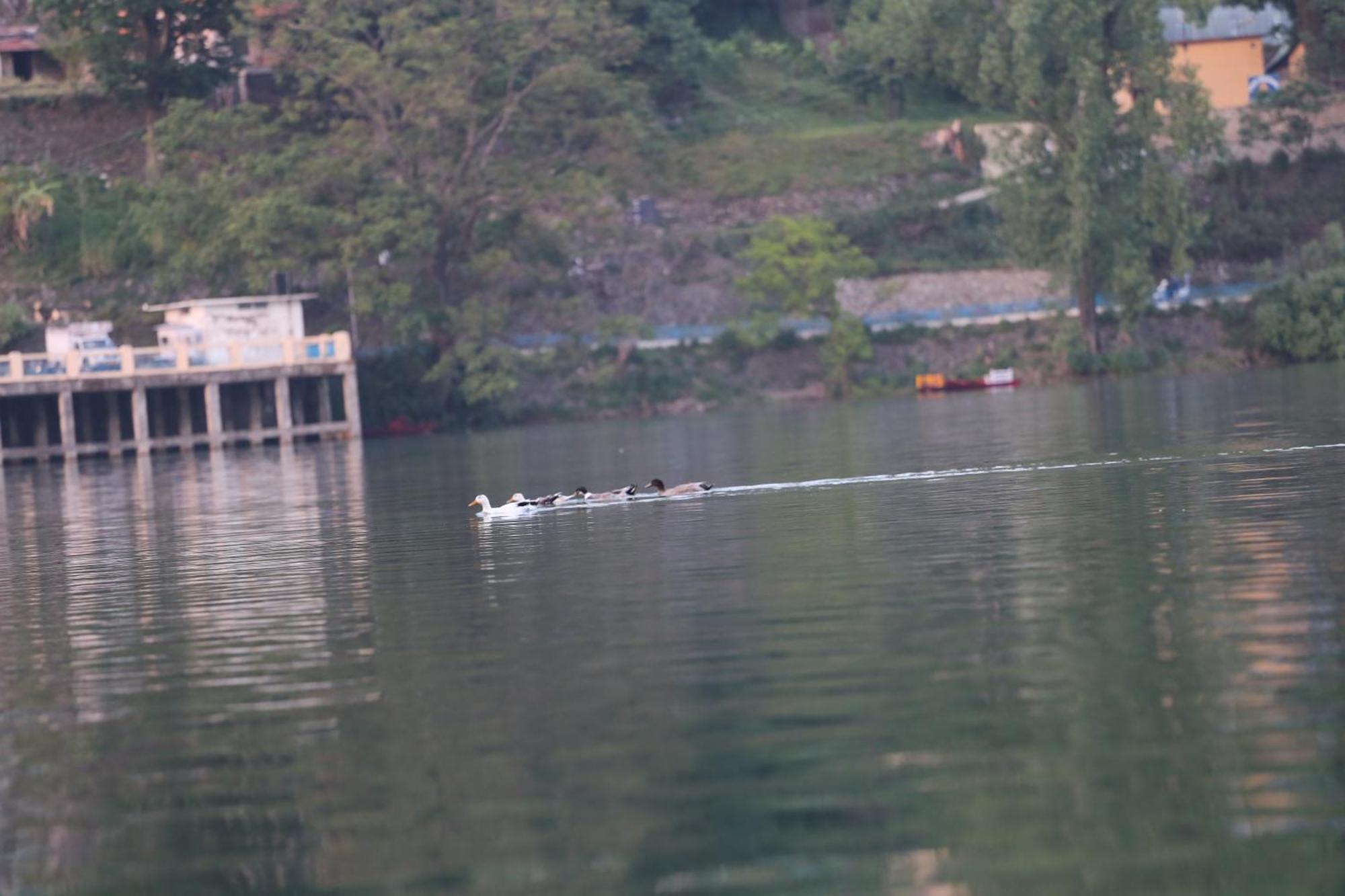 Royal Rosette Lake View Bhimtal Nainital Bagian luar foto